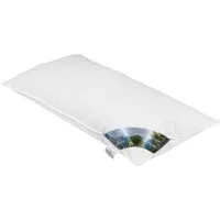 Bielefelder Bettfedern-Manufaktur Verse GmbH Kopfkissen Wechselschläferkissen ZIRBE, 80 x 40 cm, Weiß, Füllung: 60 % Federn, 30 % Zirbe, 10 % Daunen, Bezug: Baumwolle, Bauchschläfer, Rückenschläfer, Seitenschläfer