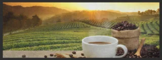 Küchenteppich Kaffee 4347 | Größe: 75 cm x 120 cm