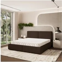 Masseno Polsterbett FELURO 200x200 cm braun (mit Bettkasten und Lattenrost)