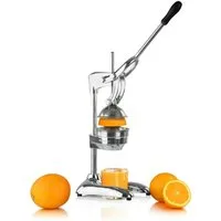 Mahlzeit Entsafter Edelstahl Saftpresse CORDOBA, silber, manueller Entsafter, für hartes Obst und Gemüse, sehr leise, leichte Reinigung