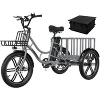 ELEKGO E-Bike Elektrisches Dreirad 20*3,0 zoll E-Dreirad Cargo mit 48V18Ah Akku Lastenfahrrad, 1 Gang, Kettenschaltung, Heckmotor, 864 Wh, Mit Körben vorne und hinten für Erwachsene zwischen 16 und 60 Jahren