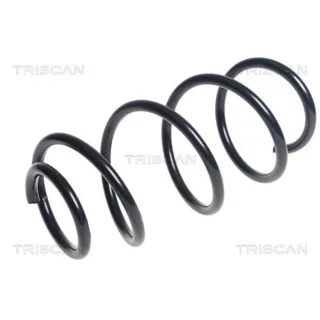 Triscan Feder vorne Kia Venga 87501879