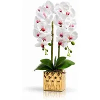 Kunstorchidee PASCH® Orchidee künstlich wie echt in Hochglanz-Keramiktopf Orchidee, PASCH, Hochglanz Keramiktopf