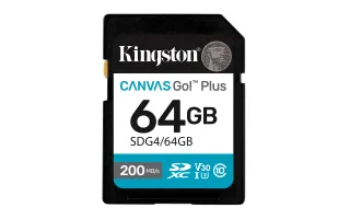 Kingston Canvas Go! Plus | sdg4/64gb | Flash-Speicherkarte