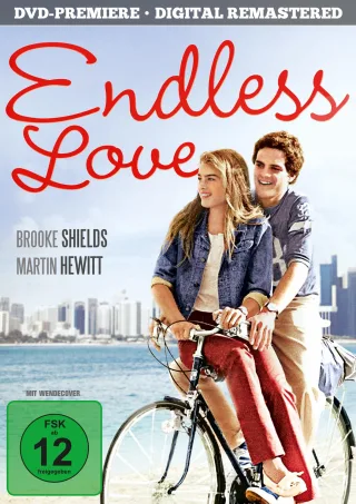 Endless Love (digital remastered)