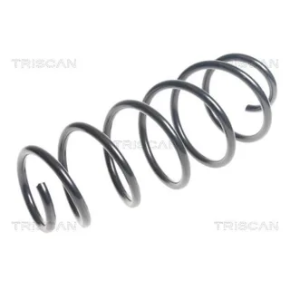 Triscan Feder vorne Peugeot 207 1,6 875028210