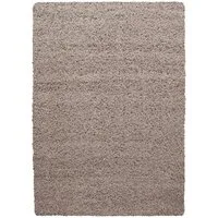Teppium Teppich Unicolor - Einfarbig, Rechteckig, Höhe: 30 mm, Einfarbig Shaggy Teppich Wohnzimmer Langflor versch. farben und größen