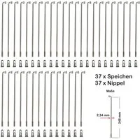 Büchel Fahrrad-Laufrad 37 Stück Speichen 248mm verstärkt NIROSTA 2,34mm