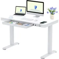 FLEXISPOT Schreibtisch Höhenverstellbarer Schreibtisch MIT Schubladen (mit LED-Höhenanzeige, 4 Speicherhöhen, Anti-Kollisionssystem, USB-C Anschluss), EINFACHE MONTAGE, leise & ergonomisch