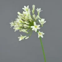 Kunstblume Künstlicher Agapanthus PHILINA, Creme, 75cm, Ø 14cm Agapanthus, artplants, Höhe 75.0 cm