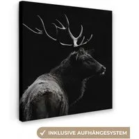 OneMillionCanvasses® Leinwandbild Hirsch - Schwarz - Porträt - Geweih - Tiere, Fotodruck (1 St), Wandbild, Deko Schlafzimmer Wohnzimmer Flur 20x20 cm