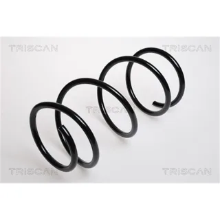 Triscan Feder vorne BMW 3er E46 316 318