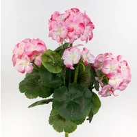 Kunstblume Geranie 32cm LM Kunstpflanzen künstliche Blumen Pflanzen Pelargonium, Seidenblumen Roß, Höhe 32 cm, Rosa