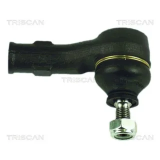 Triscan Querlenker Ford Kuga
