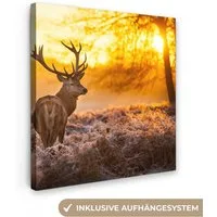 OneMillionCanvasses® Leinwandbild Hirsche - Tiere - Sonnenuntergang - Winter - Heidekraut - Natur, Fotodruck (1 St), Wandbild, Deko Schlafzimmer Wohnzimmer Flur 20x20 cm