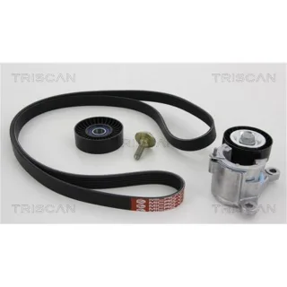 Triscan Keilrippenriemensatz Citroen Xsara Peugeot 206 406