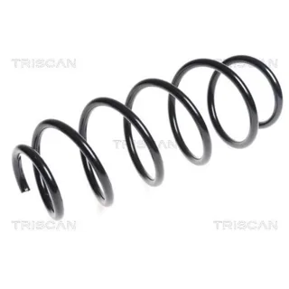 Triscan Feder vorne Citroen Nemo Fiat Fiorino Peugeot Bipper 1,4