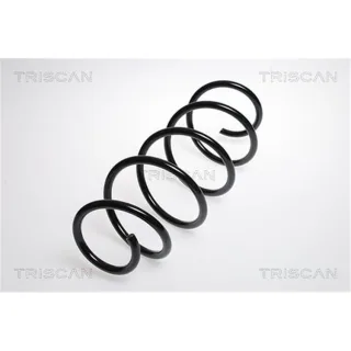 Triscan Feder vorne Mercedes B-Klasse W245 875023105