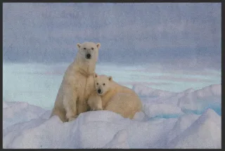 Fussmatte Eisbär 4809 | Größe: 60 cm x 45 cm