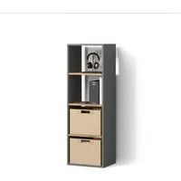 Livinity® Bücherregal Lorena, Anthrazit/Goldkraft Eiche, mit 4 Fächern, 1-tlg.