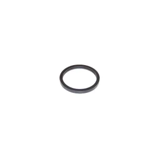 Elring Dichtung f?r Thermostat Opel Ascona Astra Combo Corsa Kadett Manta Vectra