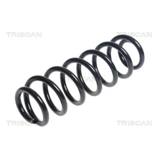 Triscan Feder hinten Audi A3 Seat Leon 875029400