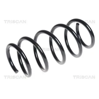 Triscan Feder vorne Renault Kangoo 87502589