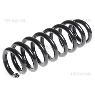 Triscan Feder hinten Suzuki Grand Vitara 2