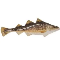 GABY Kuscheltier GABY fish pillows - Kissen - Dorsch - 32 cm