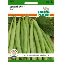 SAMEN PFANN Gemüsesamen Buschbohne Saxa, Bohnen-Samen früh fadenlos dickfleischig ertragreich, Phaseolus vulgaris