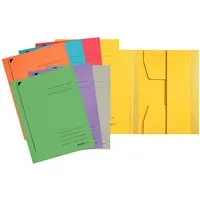 LEITZ Organisationsmappe LEITZ Jurismappe A4 sortiert 39240099 Karton