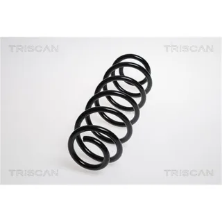Triscan Feder hinten VW Golf Scirocco 875029222