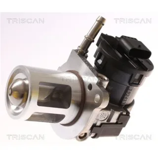 Triscan AGR-Ventil Mercedes 881323018 3,0