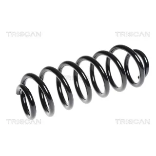 Triscan Feder hinten Peugeot 308 2,0