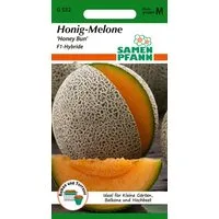 SAMEN PFANN Gemüsesamen Honig-Melone, Honey Bun F1 - Melonen-Samen Saatgut Samen, Cucumis melo