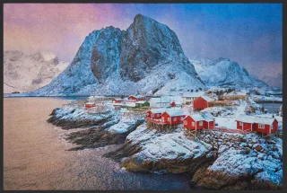 Fussmatte Skandinavien 10194 | Größe: 60 cm x 45 cm
