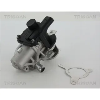 Triscan AGR-Ventil Dacia Nissan Renault 881325039