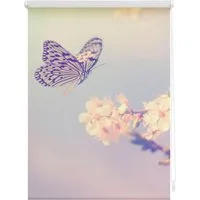 Seitenzugrollo Klemmfix Motiv Schmetterling, LICHTBLICK ORIGINAL, Lichtschutz, ohne Bohren, freihängend, Klemmfix, bedruckt