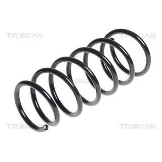 Triscan Feder hinten Hyundai I10 87504373