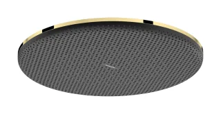 Hansgrohe Kopfbrause Raindance Alive S 300 1jet EcoSmart+ Polished Gold Optic,24523990 24523990