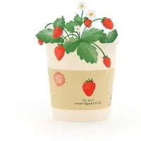 Die Stadtgärtner Anzuchttopf Erdbeer-Anzuchtset als liebevolles Geschenk, Geschenkidee (1 St)