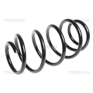 Triscan Feder vorne Nissan Qashqai 1 2,0 87501496