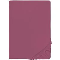 Biberna Spannbettlaken THEA Baumwoll-Jersey mit Elasthan, 160 g/m², Jersey-Elasthan, Gummizug: rundum, (1 Stück), Bettlaken für Matratzen bis 25 cm Höhe, pflegeleicht, bügelfrei