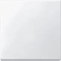 Wippe für Wechselschalter, Kreuzschalter und Taster, 1-fach, Duroplast, glänzend weiß (glänzend), Retail