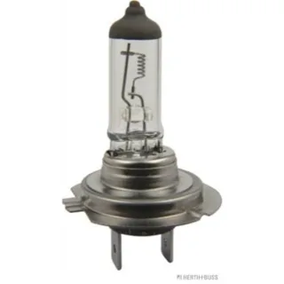 Elparts Gl?hlampe Haupt-Fern-Nebelscheinwerfer 24V 70W H7 Sockel PX26d