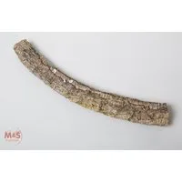 M&S Reptilien Terrarium Zierkork Tronchos -einfach- ca. 20-40 cm