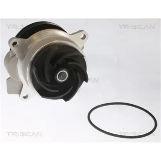 2 Triscan Gasfedern F?r Heckklappe Ford Transit Bus