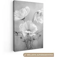 OneMillionCanvasses® Leinwandbild Stilleben - Blumen - Schwarz und weiß - Mohn - Botanisch, Fotodruck (1 St), Leinwand Canvas Wandbild, Wanddekoration 20x30 cm