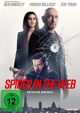 Spider in the Web [DVD]