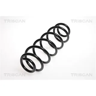 Triscan Feder hinten Citroen C4 Ds4 87502886